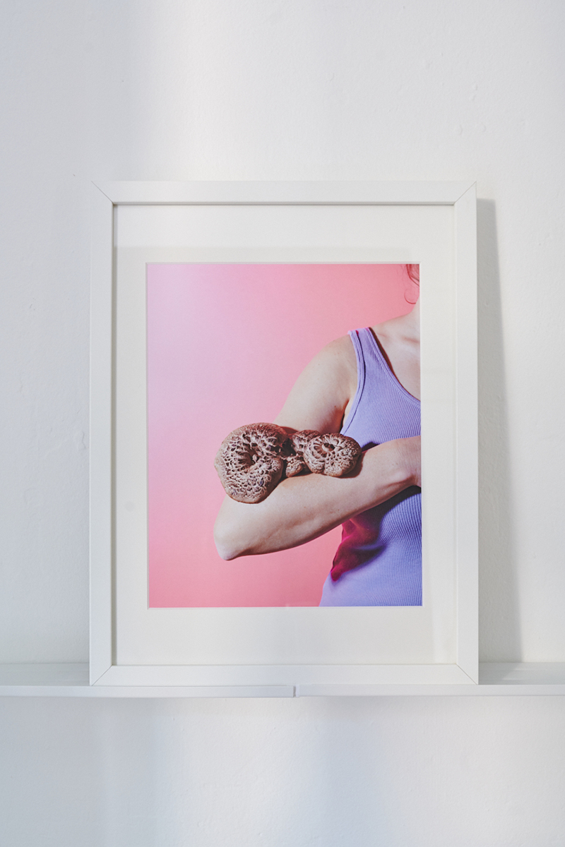 Heidi Mayer Fotografie, München, Art, künstlerische Fotografie, Ausstellung, zwischen-wesen, Pilze