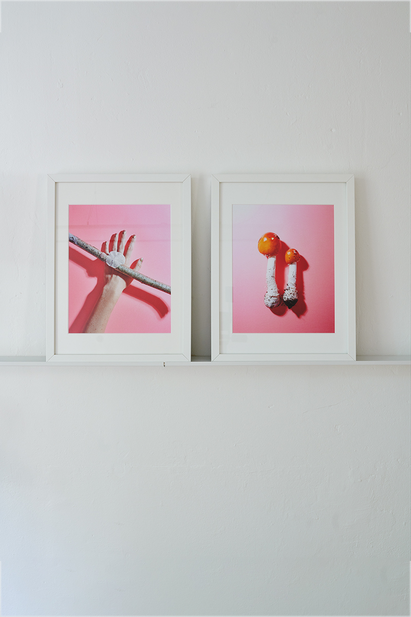 Heidi Mayer Fotografie, München, Art, künstlerische Fotografie, Ausstellung, zwischen-wesen, Pilze