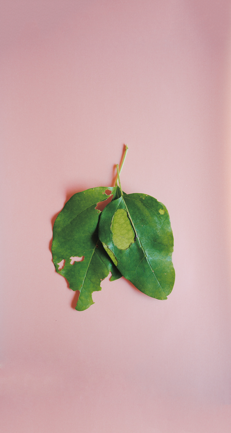 Heidi Mayer Fotografie, München, Art, künstlerische Fotografie, Ausstellung,